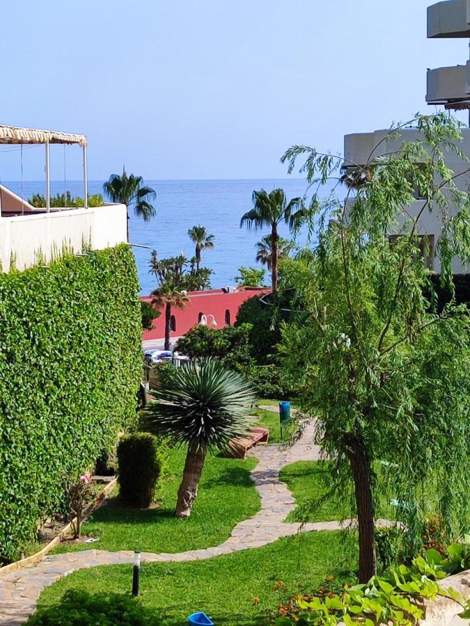 Apartamentos Benalbeach ベナルマデナ エクステリア 写真